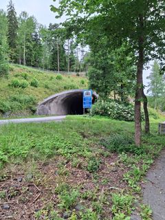 Fiskarin tunnelin eteläpääty nähdään osittain puiden ympäröimänä, tiellä on liikennemerkki.