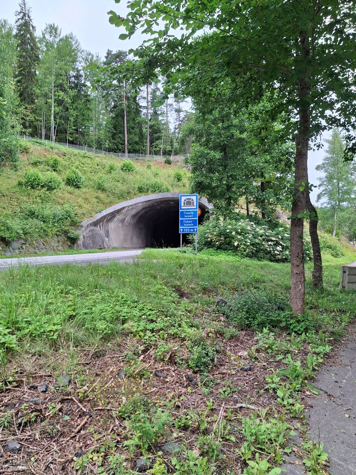 En väg leder in i en tunnel omgiven av grönska och träd.