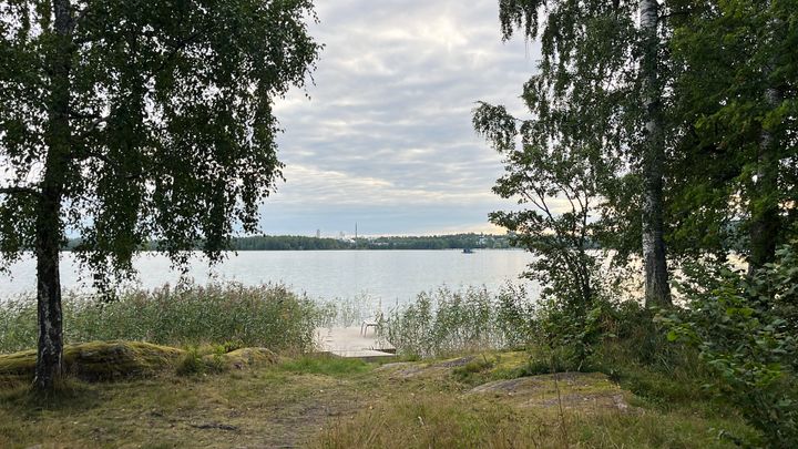 Maisemakuva järvestä, jota ympäröivät puut. Taustalla näkyy pilvinen taivas.