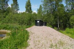 Musta fosforisieppari Karjalohjan Puujärven rannalla kesäisessä metsämaisemassa.