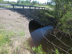 Puusilta, jonka alla virtaa pieni joki metsän reunassa.