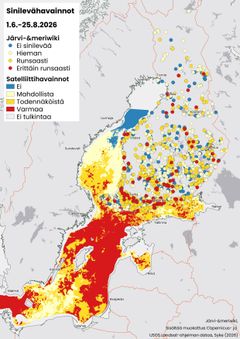 Yhteenveto kesä-elokuun aikana Järvi-meriwikiin ja Vesi.fi-palveluun tallennetuista sinilevähavainnoista ja avomerialueiden satelliittihavaintojen perusteella tulkituista kesäkauden pintaleväalueista. Järvi-meriwiki, Sisältää muokattua Copernicus- ja USGS Landsat-ohjelman dataa, Syke (2026)