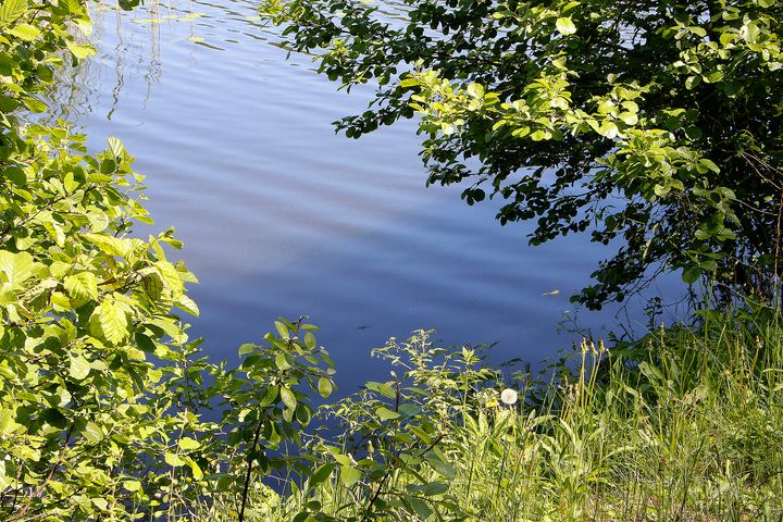 Kuvassa on järvi.