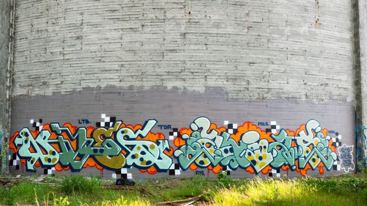 Alias & Niles, Kotka 2024