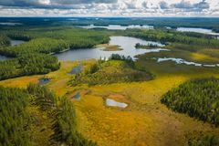 Itärajan tuntumassa ja Pogostan Ultra Trailin reitillä maasto on metsän, suon ja harjujen mosaiikkia. Kuva Petkeljärven kansallispuiston tuntumasta.