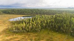 Patvinsuon kansallispuisto on maa-alueeltaan suurin Suomen kansallispuistoista Kainuun eteläpuolella. Pogostan Ultra Trailin 328 ja 180 kilometrin reitit kulkevat Lieksan ja Ilomantsin rajalle sijoittuvan Patvinsuon kansallispuiston läpi.