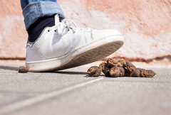 Henkilö astumassa kengällä koiran jätöksiin.