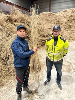 Sauli Tikka ja Henrik Jensen jalostavat järviruokoa uusiin käyttökohteisiin.