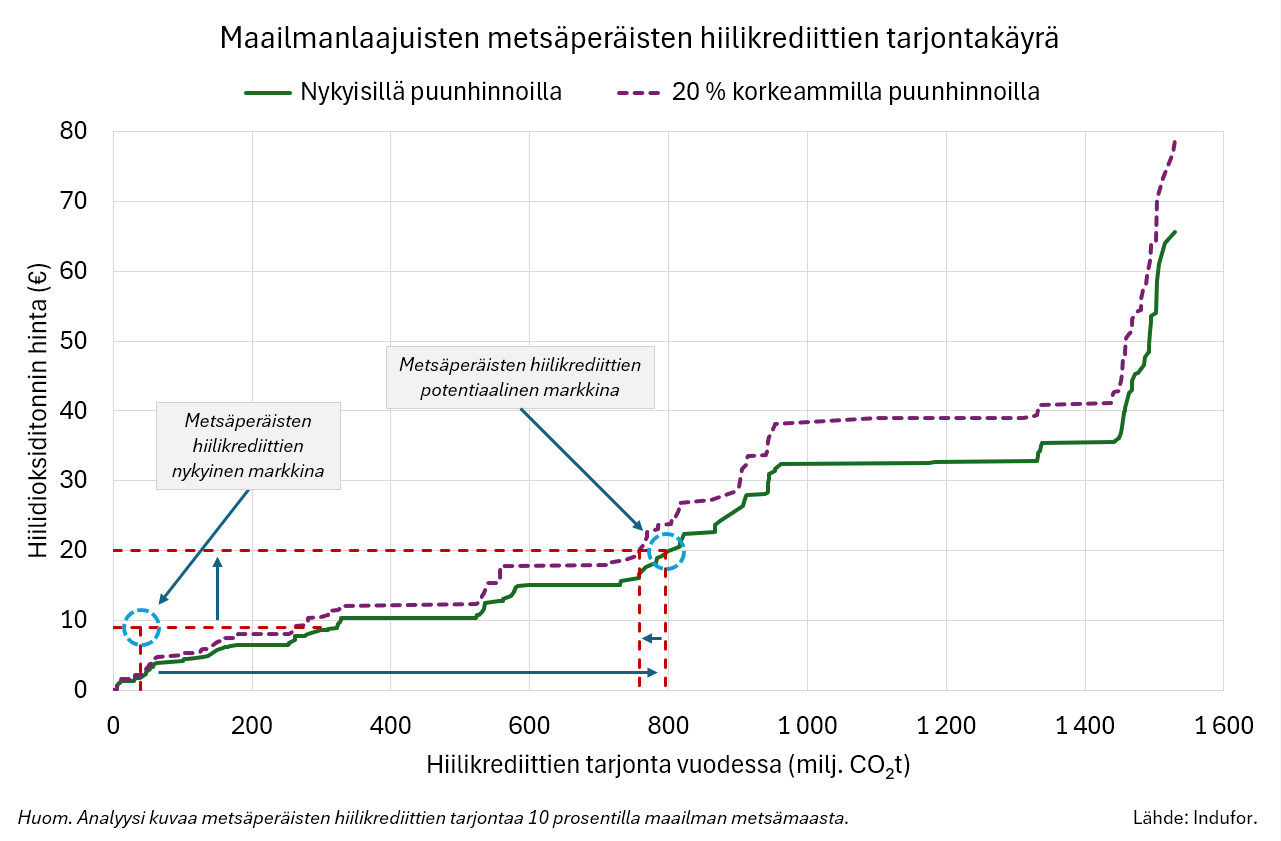 Selvitys: Metsien hiilikrediittien tarjonta voisi kasvaa moninkertaiseksi
