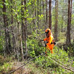 Luonnonhoitoa tehdään osana toimenpiteitä