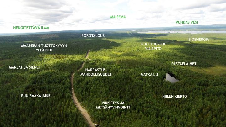 Ihminen ei pärjää ilman luonnon hyödyntämistä. Kyse ei ole siitä, suojellaanko vai hakataanko, vaan siitä, millä tavalla luontoa hyödynnetään.