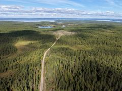 Metsäammattilaisille luonto merkitsee paljon