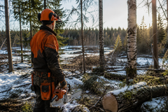 Metsurit ovat ennallistamisen mahdollistajia