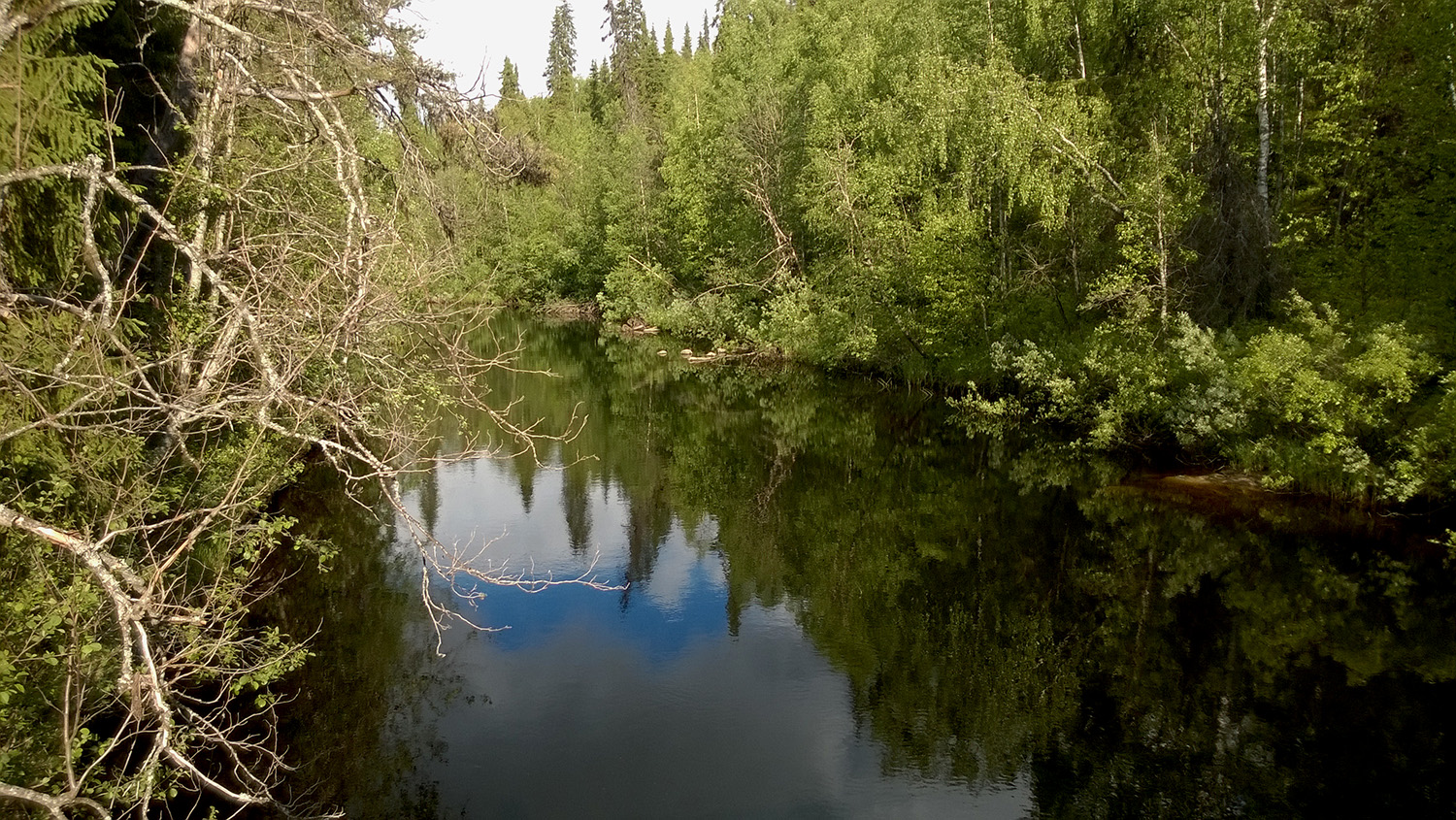 Työryhmä kyseenalaistaa ennallistamisen hyödyt ilmastotyössä