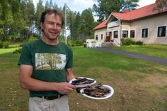 Punkaharjun Matkailuyhdistyksen puheenjohtaja Janne Hänninen savustaa Naaranlahdessa tuoreita Puruveden muikkuja.