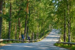 Punkaharjun harjumaisema tarjoaa ainutlaatuiset puitteet ulkoilla ja retkeillä.