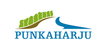 Visit Punkaharju