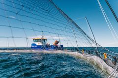 Nordic Trout kasvattaa Kaskisissa kirjolohta avomerellä. Procraft Marine rakensi yritykselle Uudessakaupungissa aluksen, joka kiinnittyy suoraan ruokintalauttaan. Se helpottaa kalojen ruokintaa avomeren haastavissa olosuhteissa.