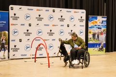 Kuvassa menossa para-agilityn esittely.