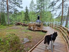 Rakennettu laudoitettu esteetön reitti metsämaisemassa.
