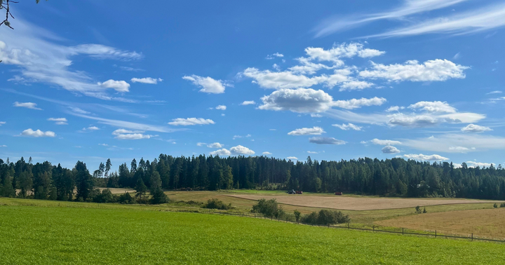 Kesäinen peltomaisema